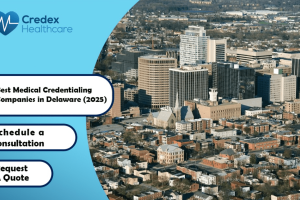 Best Medical Credentialing Companies in Delaware 