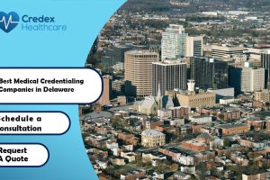 Best Medical Credentialing Companies in Delaware 